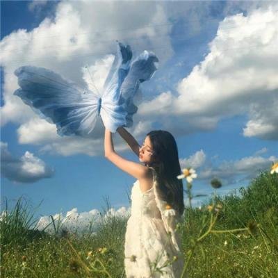 龙拳小子